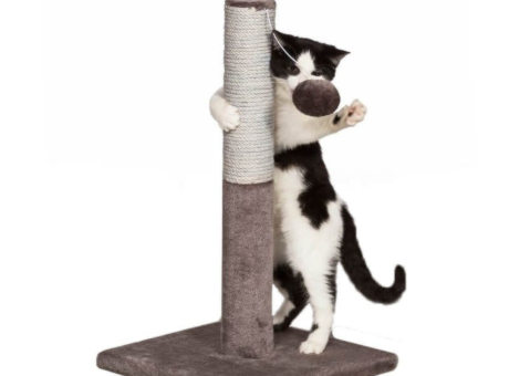 Torre rascador para gatos XL
